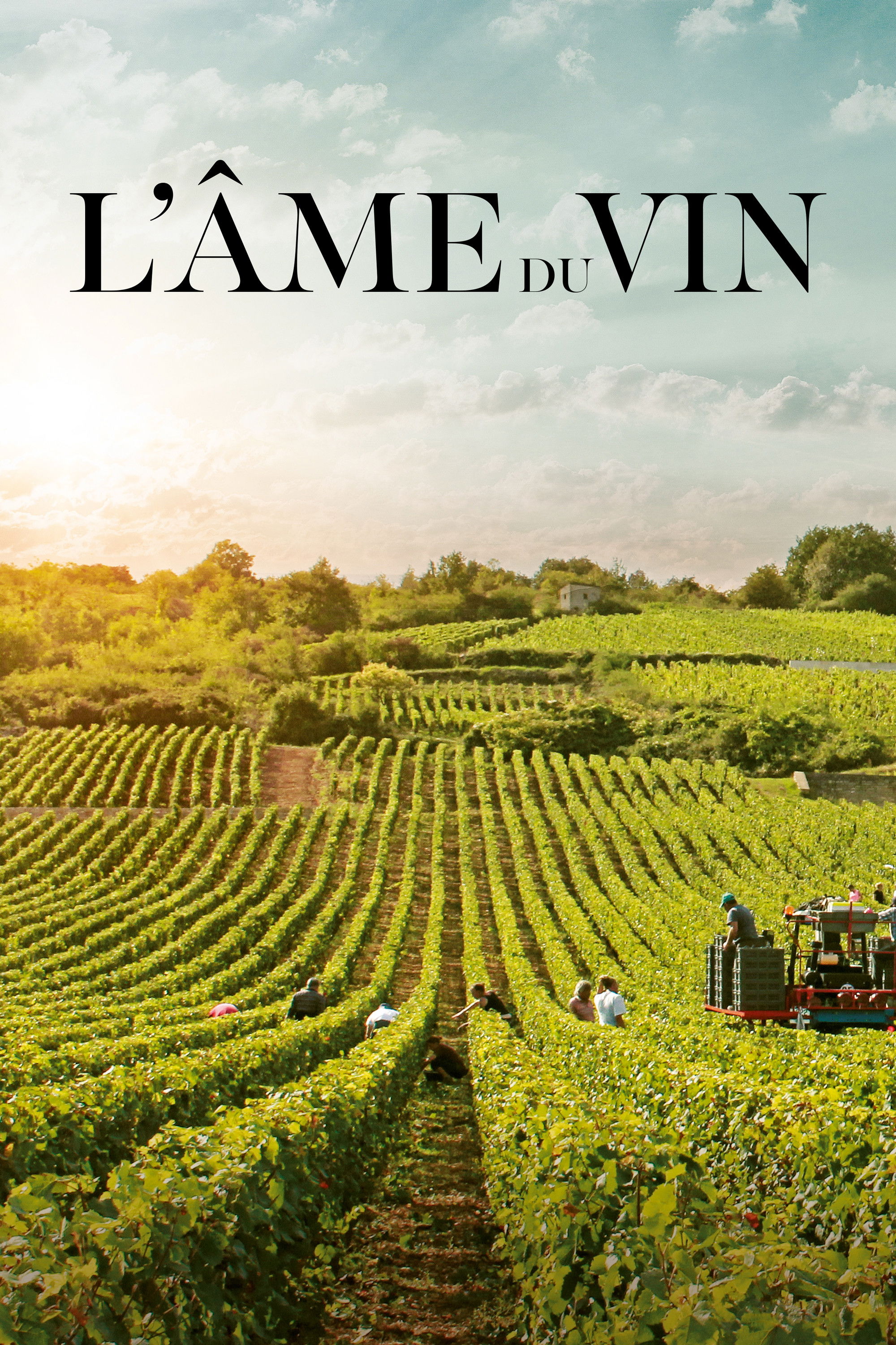 L'Âme du vin poster