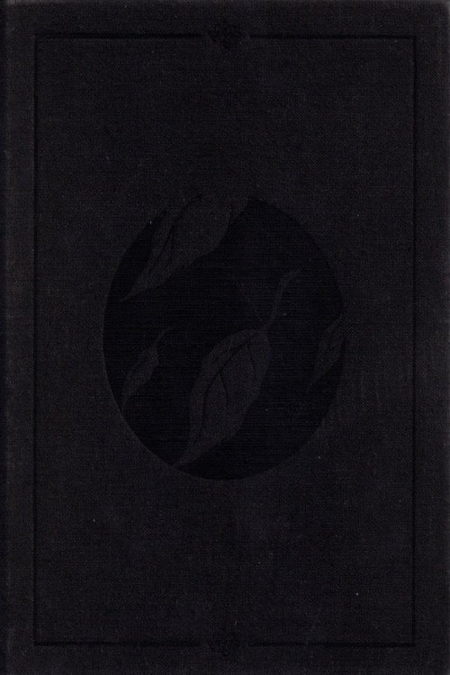 Clandestine poster