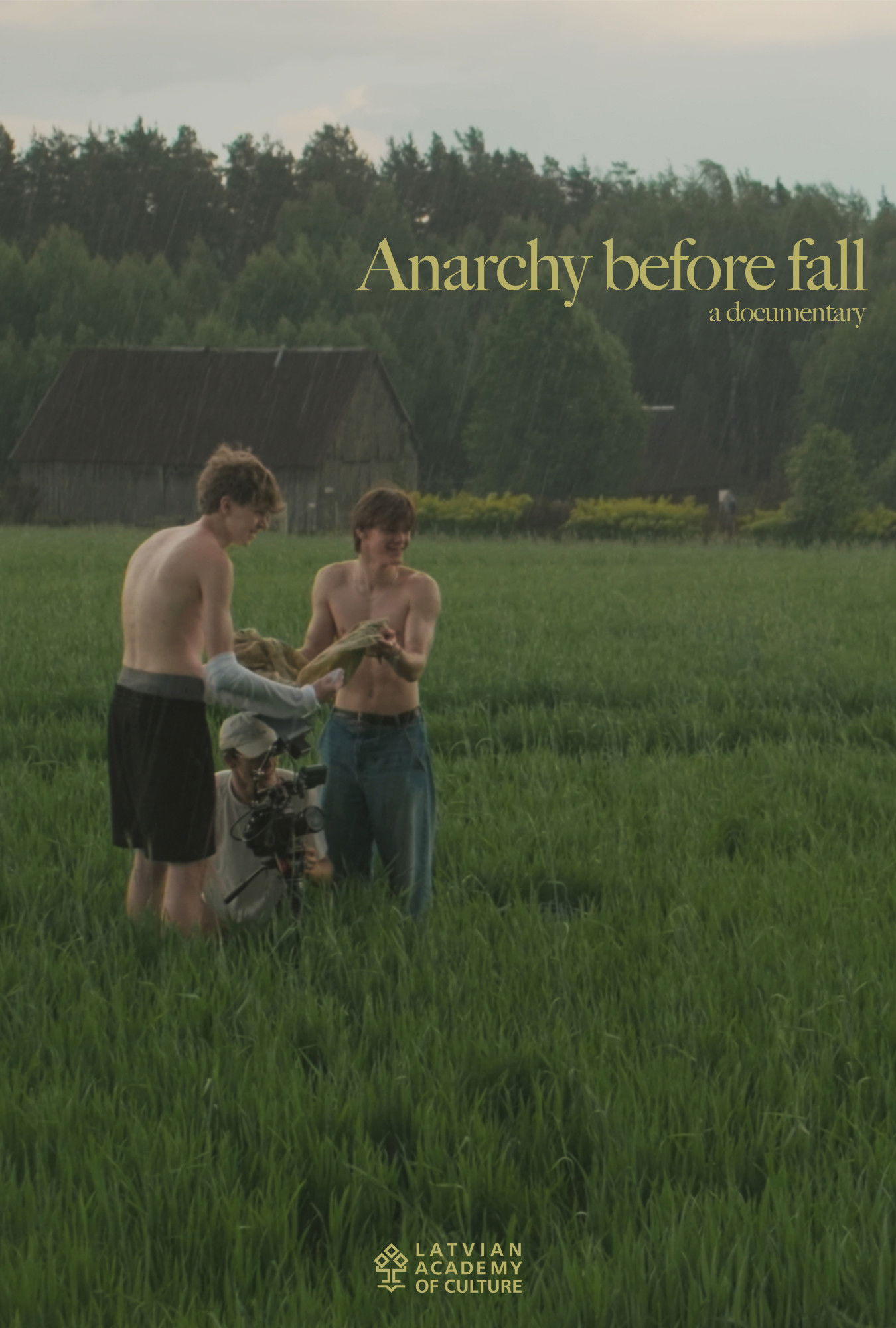 Anarchy Before Fall poster