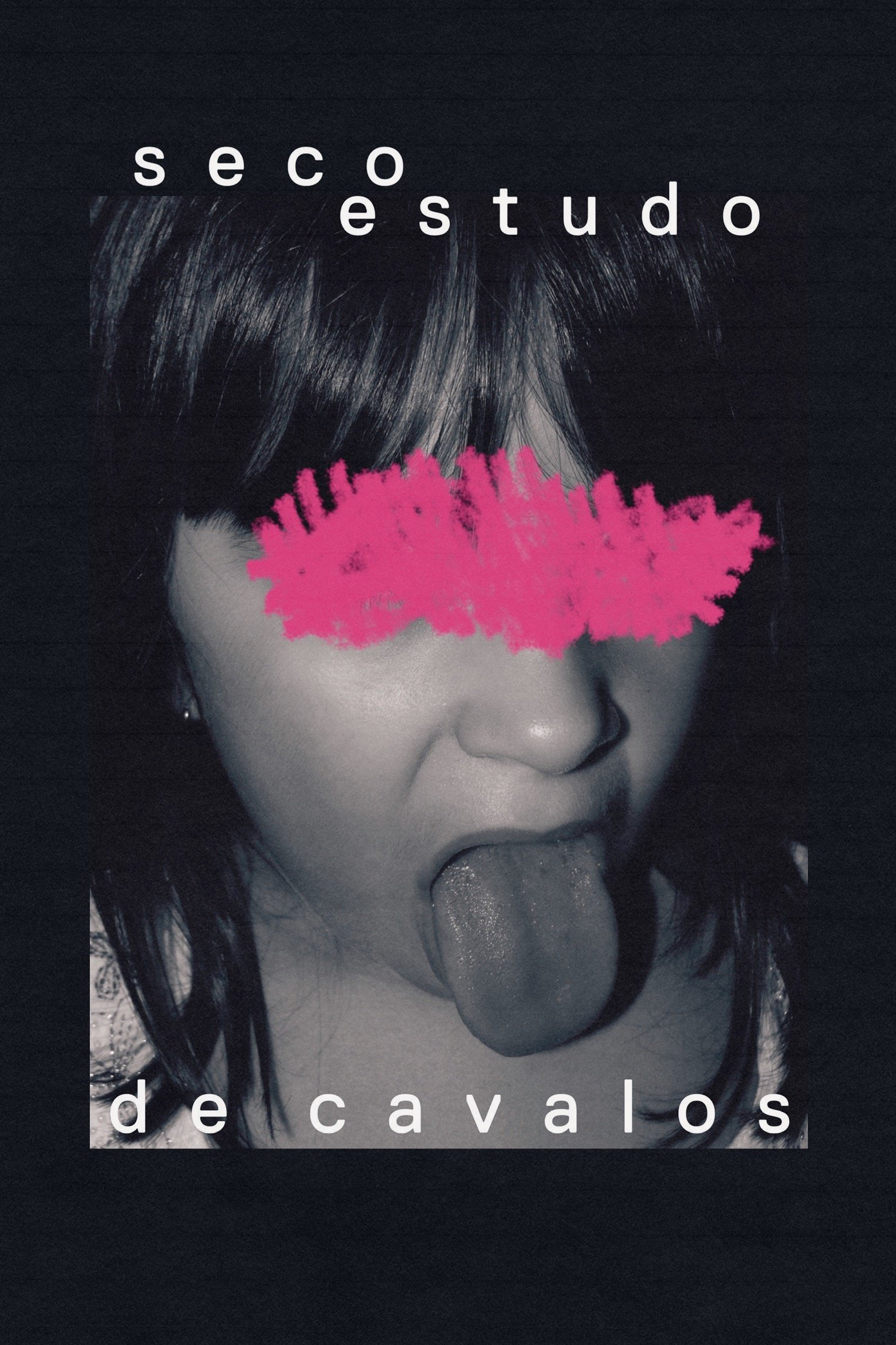 Seco Estudo de Cavalos poster