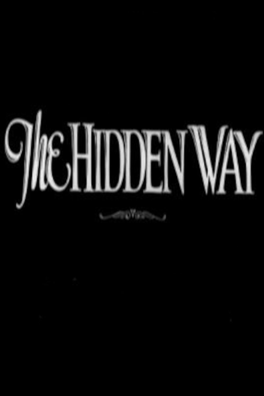 The Hidden Way poster
