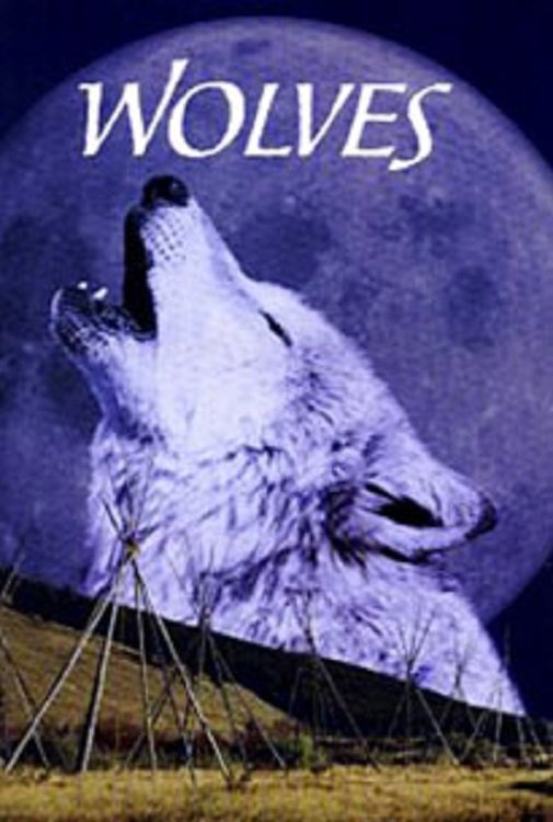 Wölfe poster
