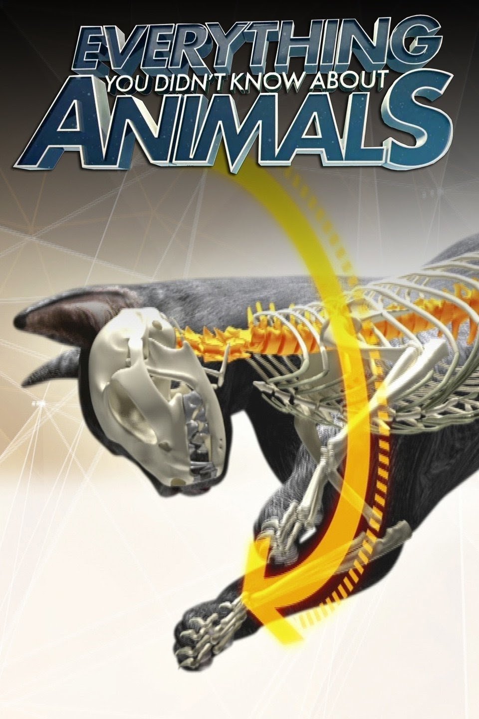 Everything You Didn't Know About Animals poster