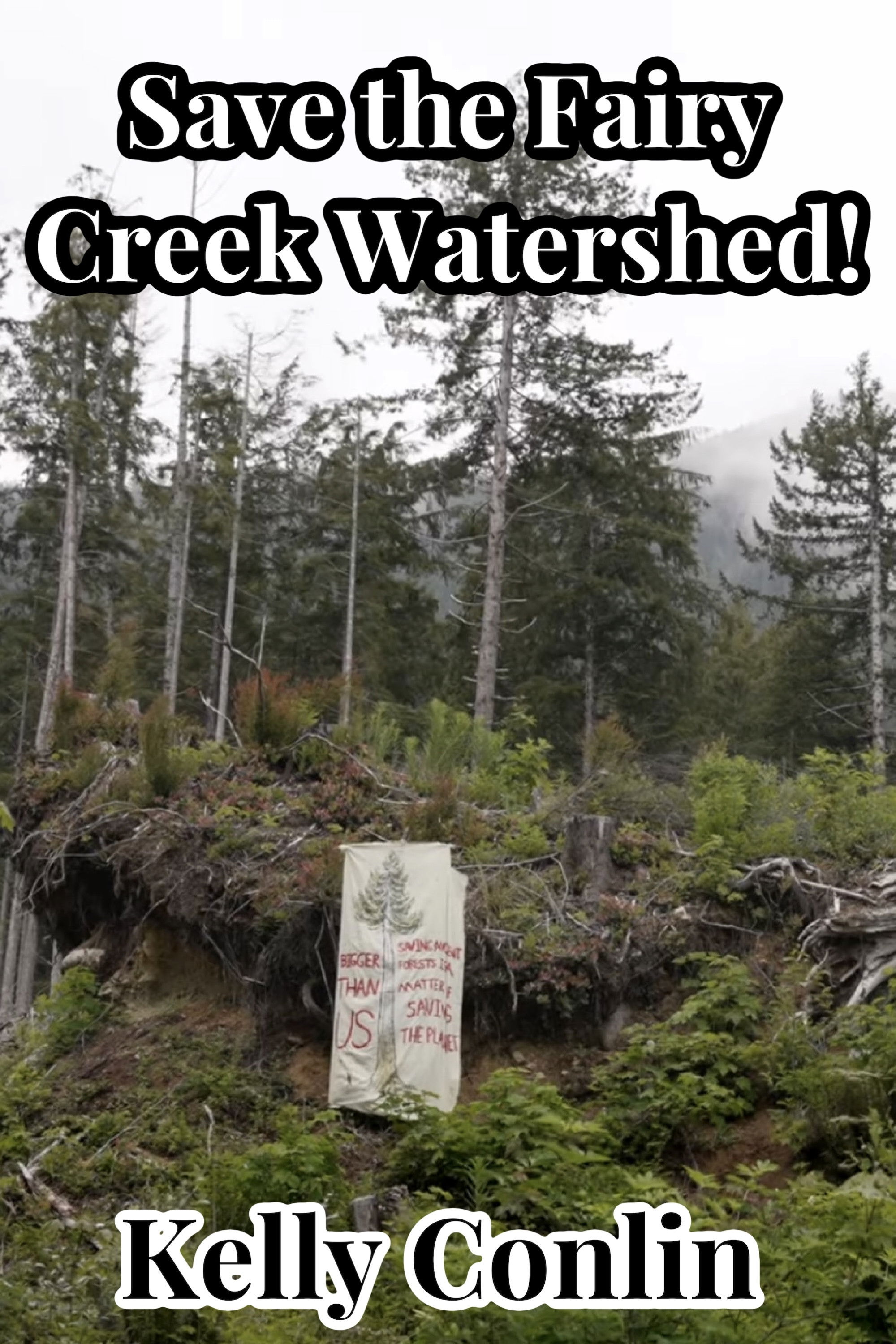 Save the Fairy Creek Watershed! poster