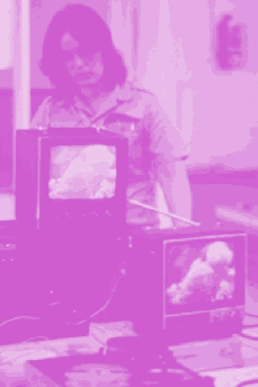 Not For Sale: Feminism and Art in the USA during the 1970s poster