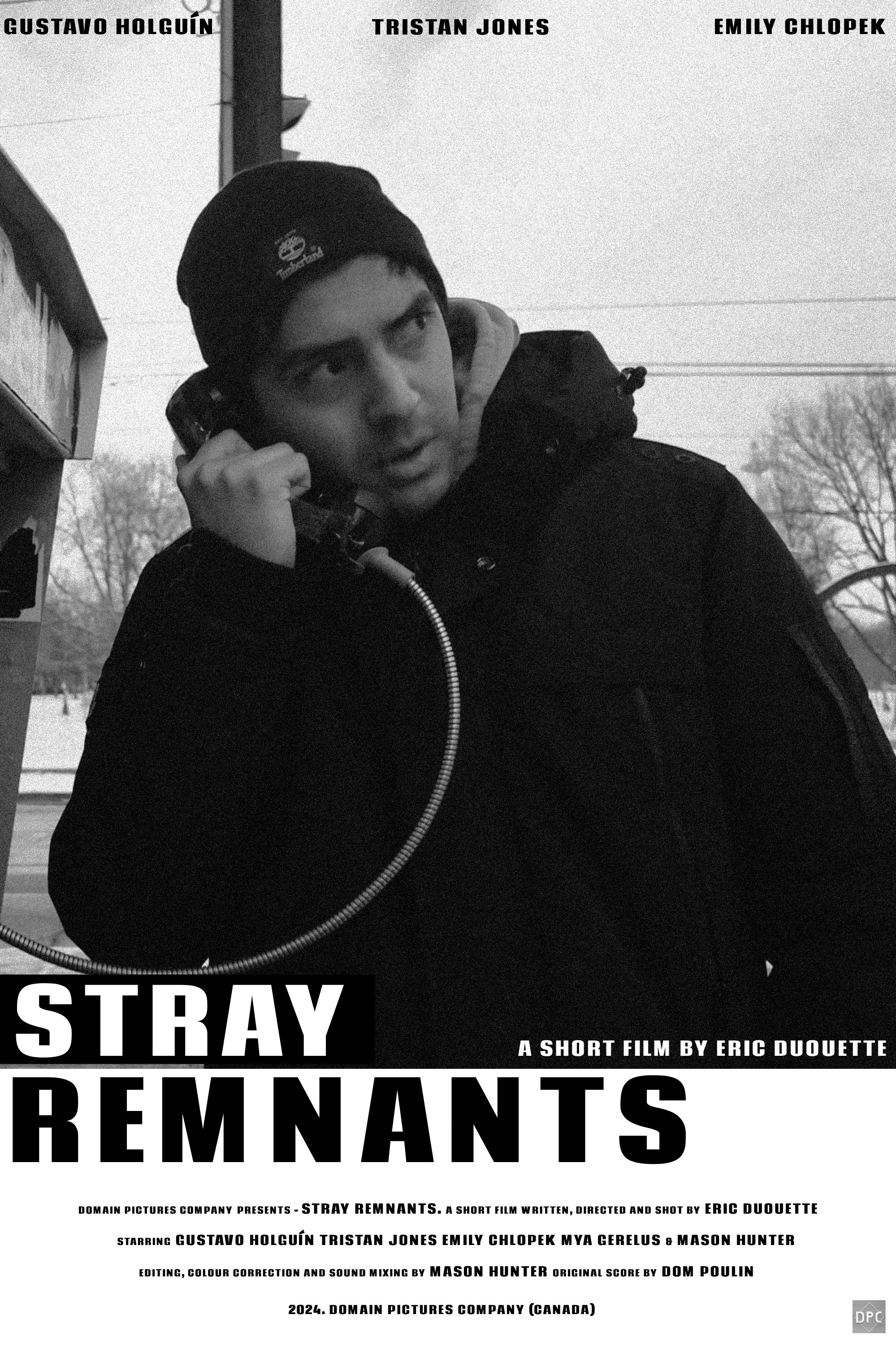 Stray Remnants poster