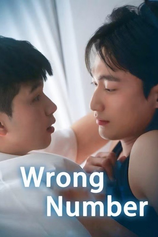 Wrong Number poster