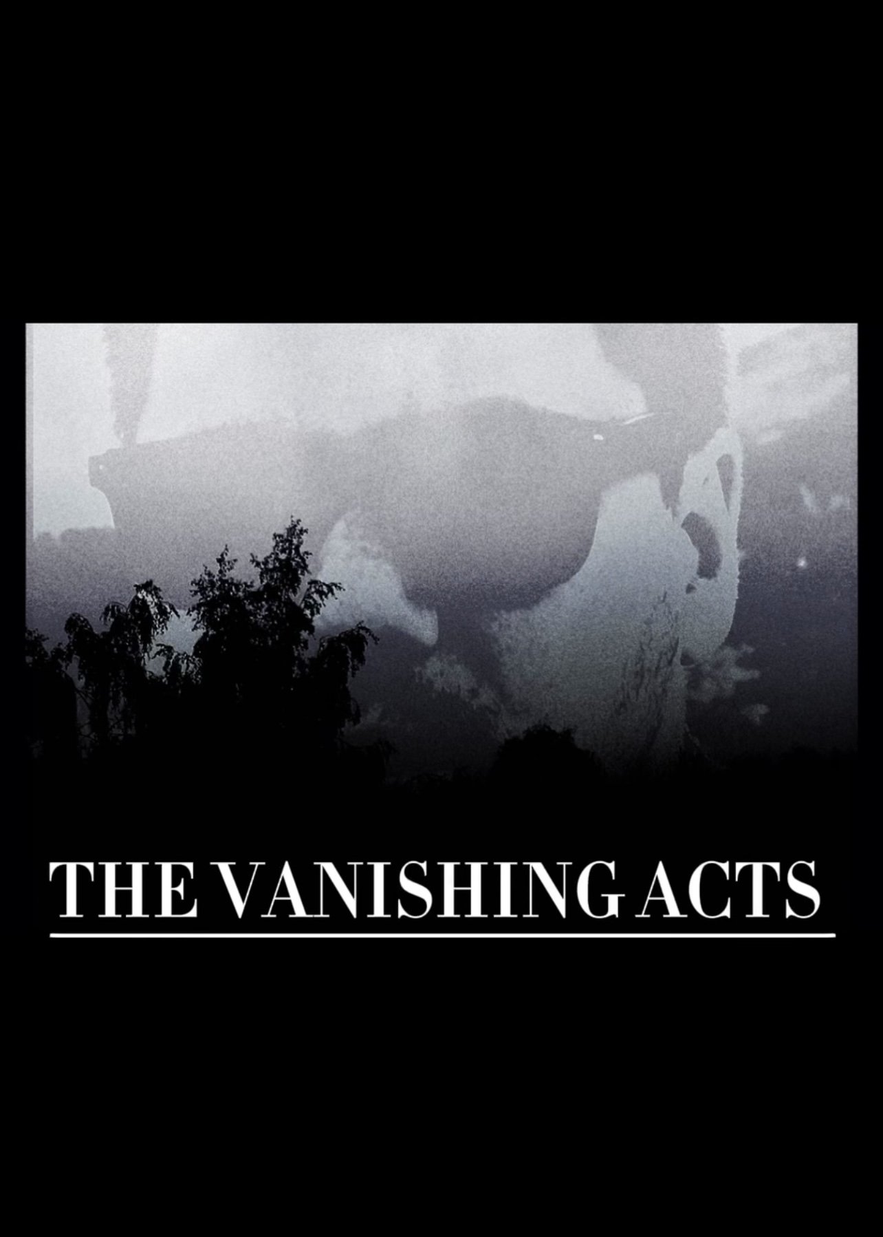 THE VANISHING ACTS poster