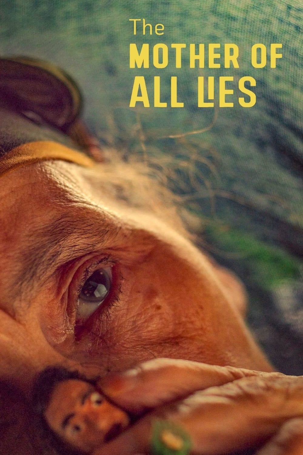 The Mother of All Lies poster