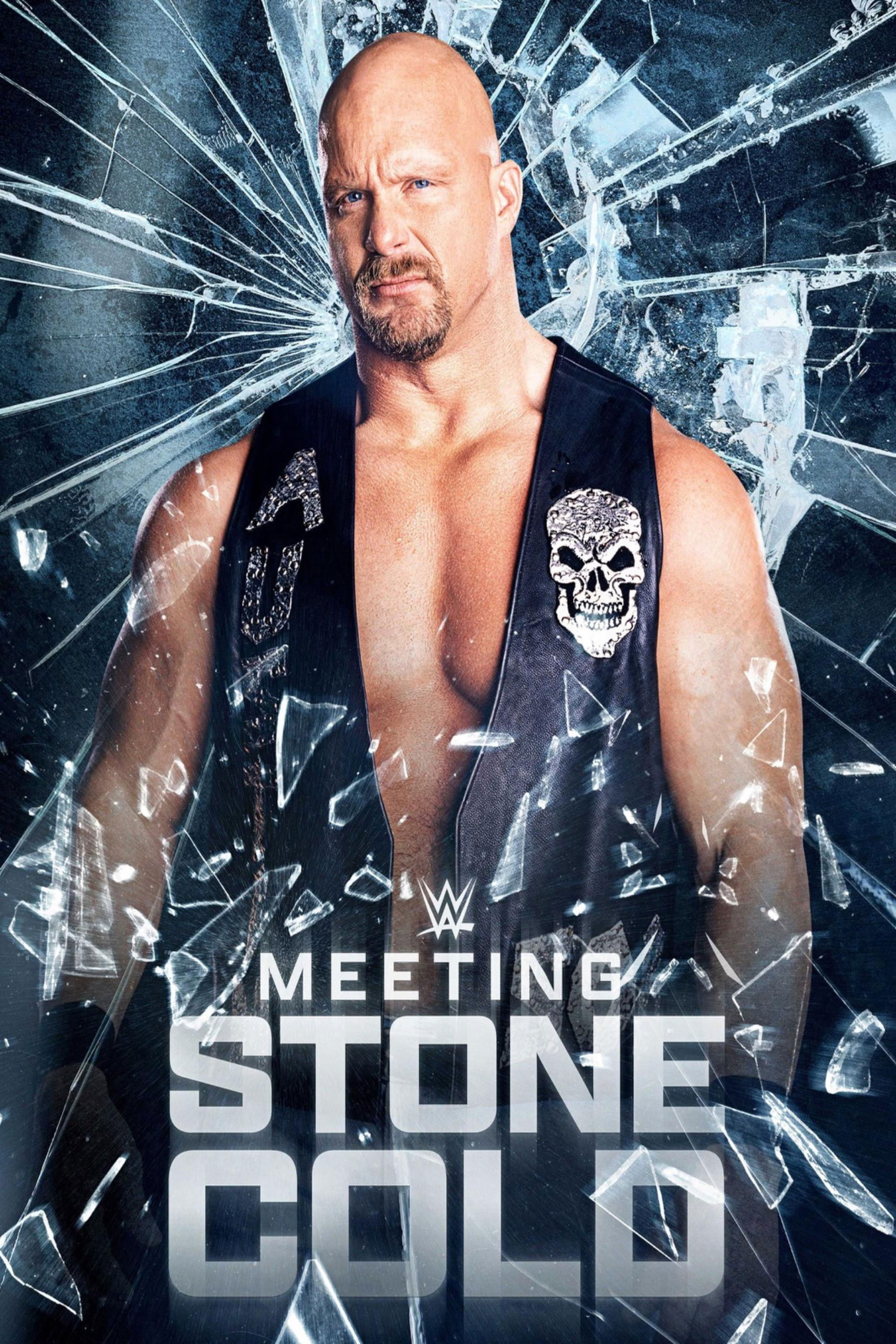 Meeting Stone Cold poster