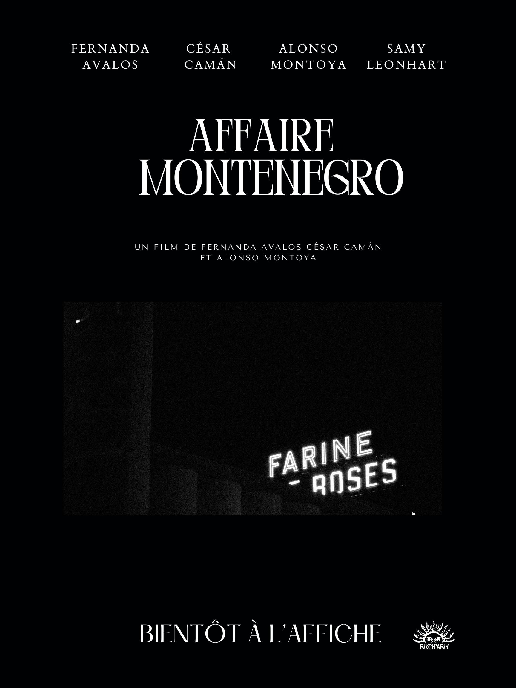 The Montenegro Affair poster