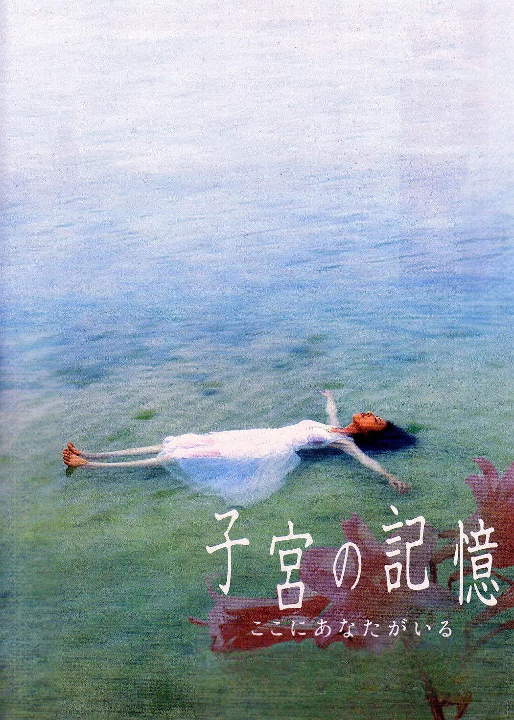 Memories of the Womb: You Are Here poster