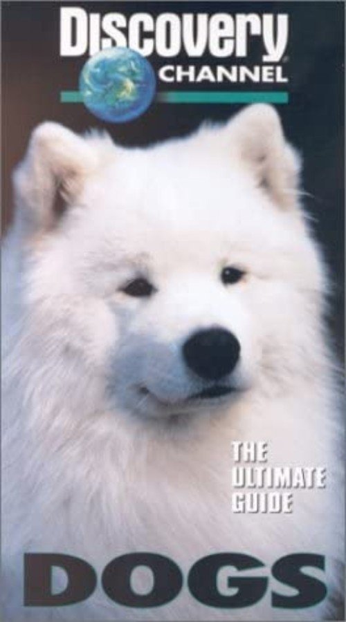 The  Ultimate Guide - Dogs poster