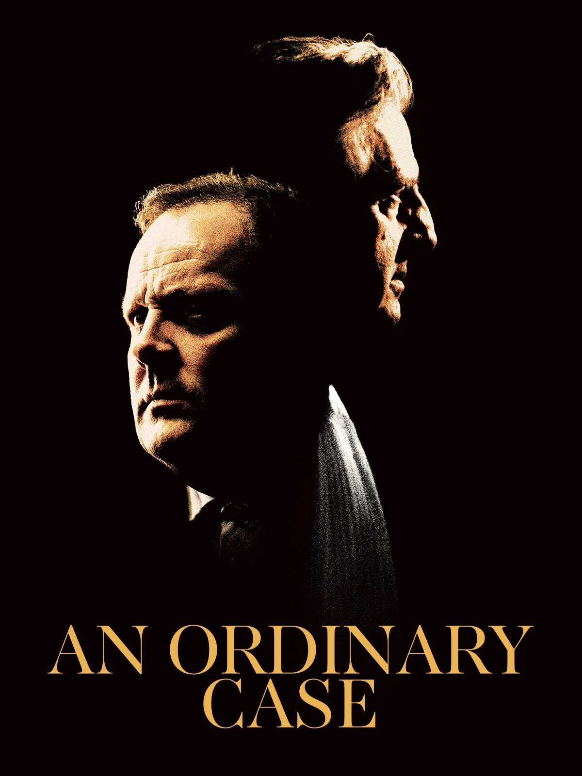 An Ordinary Case poster