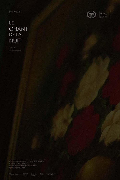 A Night Song poster