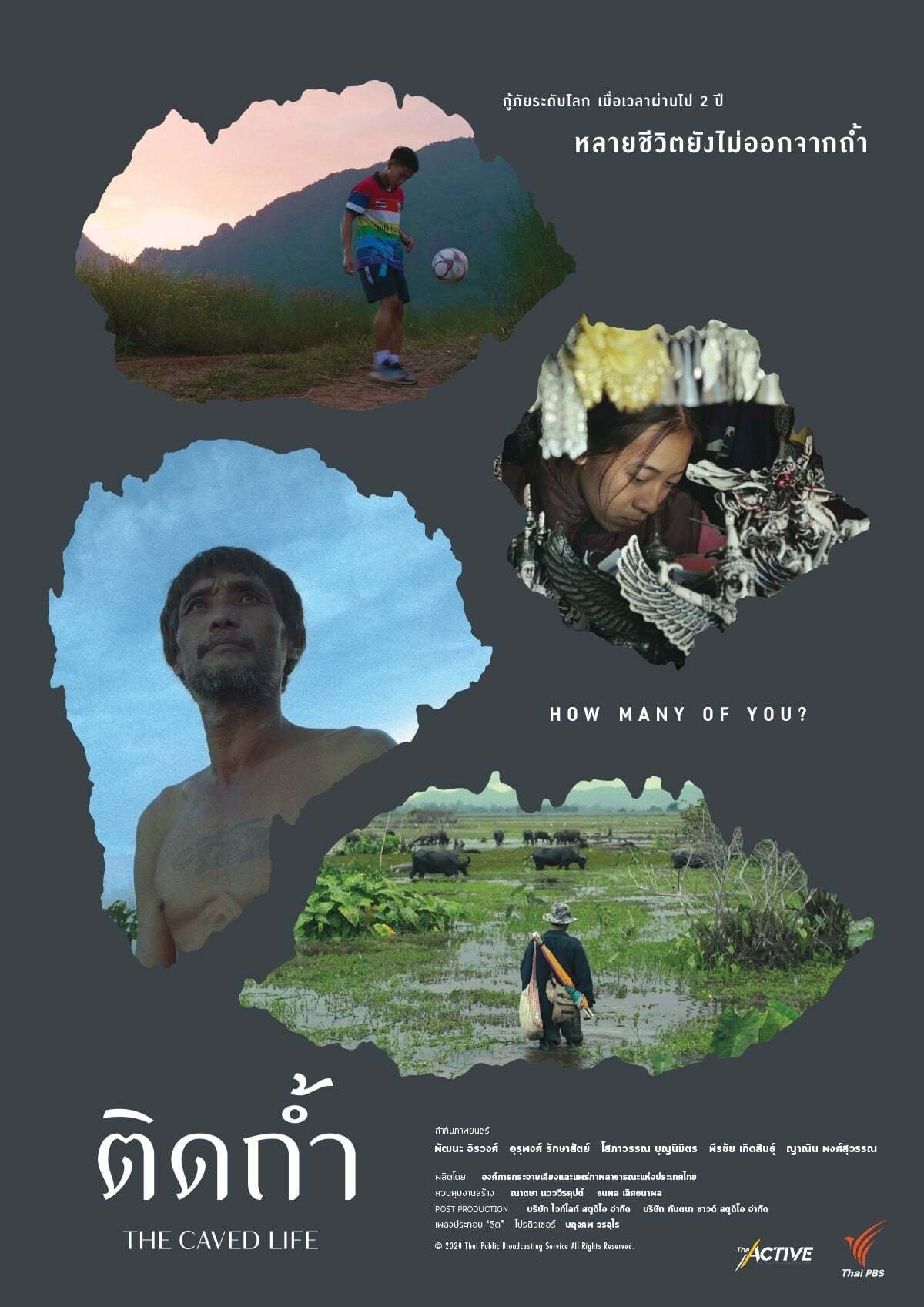 The Caved Life poster