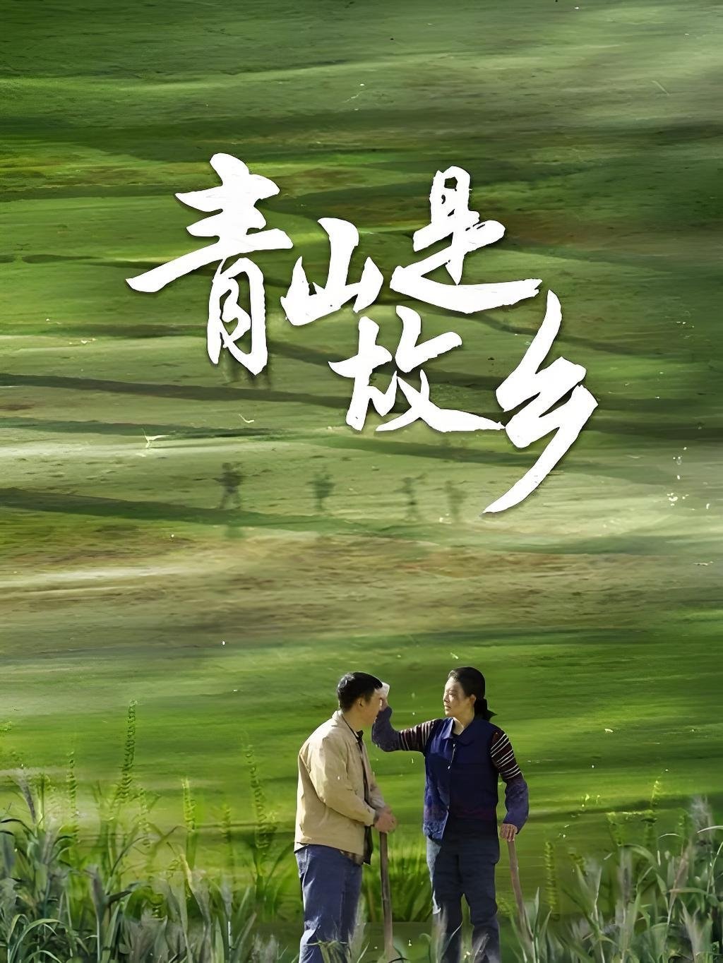 青山是故乡 poster