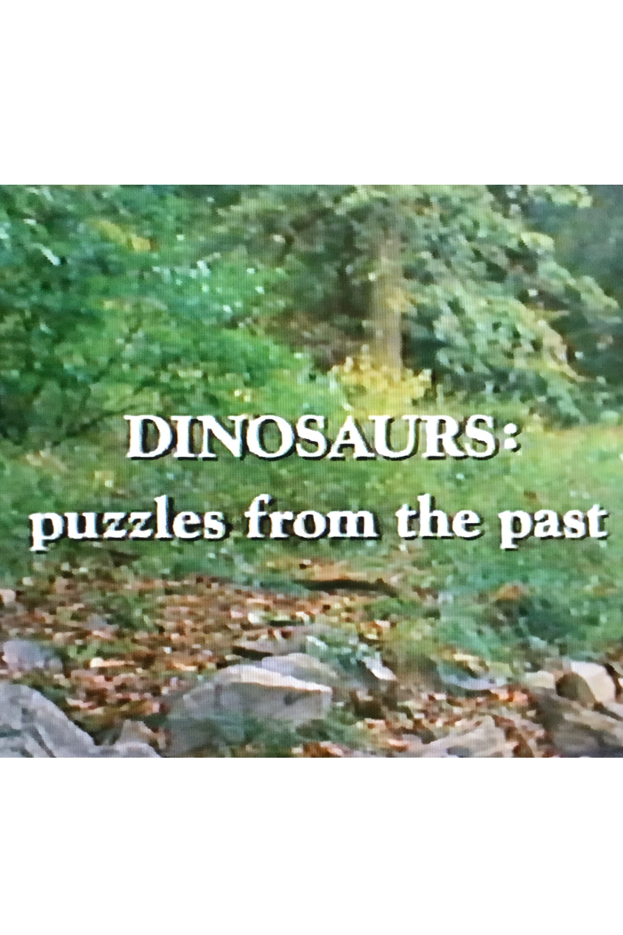 Dinosaurs: Puzzles from the Past poster