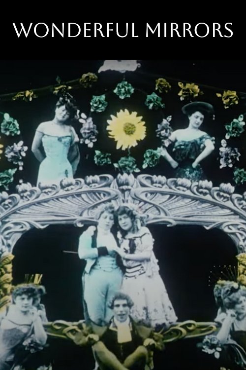 Wonderful Mirrors poster