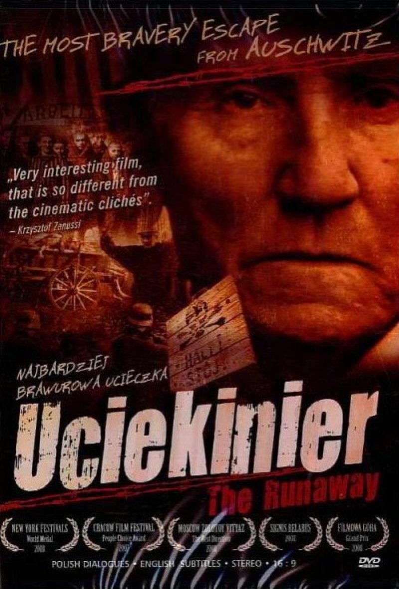 The Runaway poster