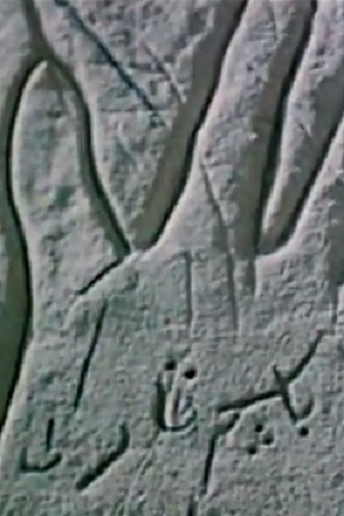 The Secrecy of an Open Palm poster