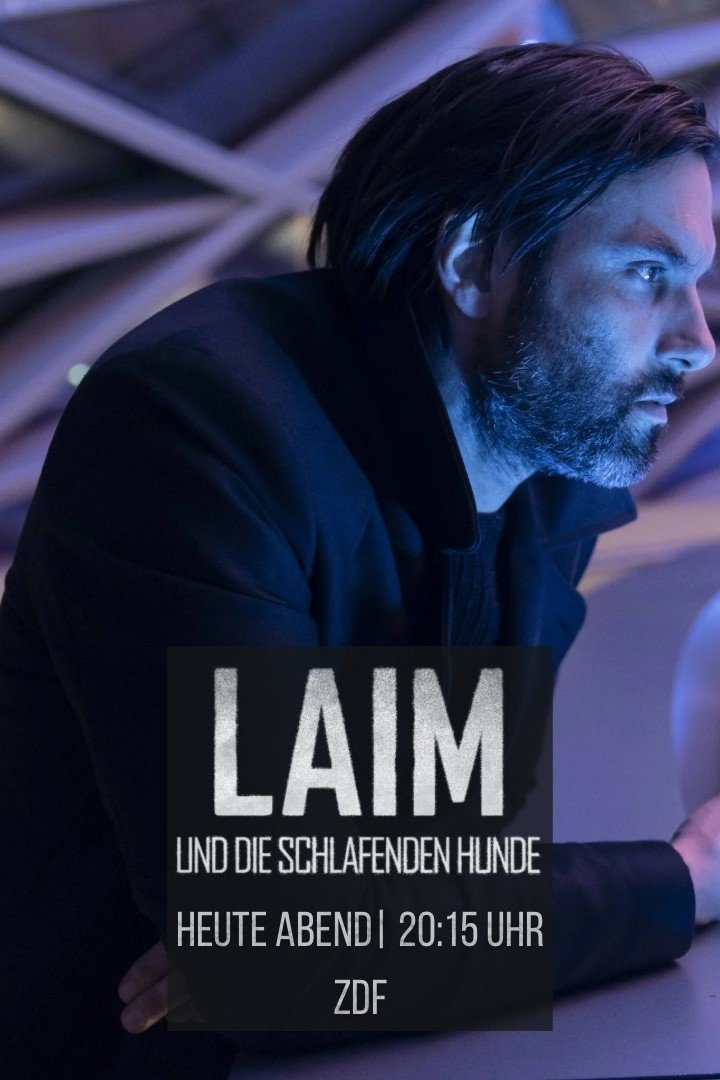 Laim und die schlafenden Hunde poster