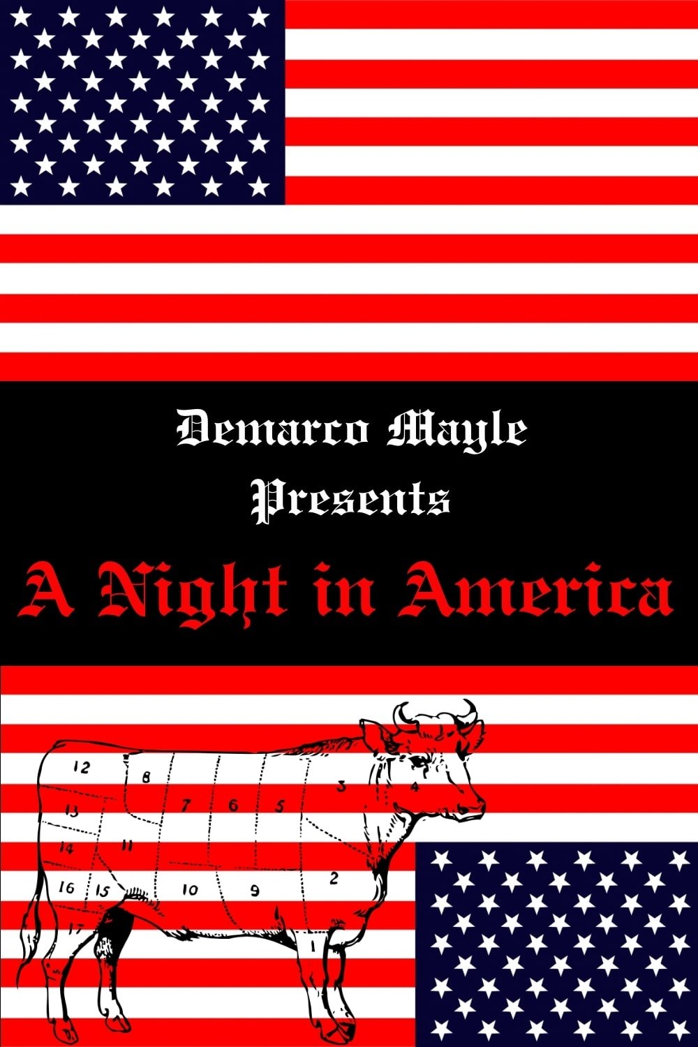 A Night in America poster