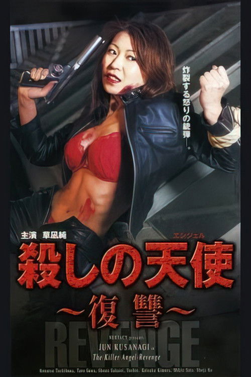 The Killer Angel Revenge poster
