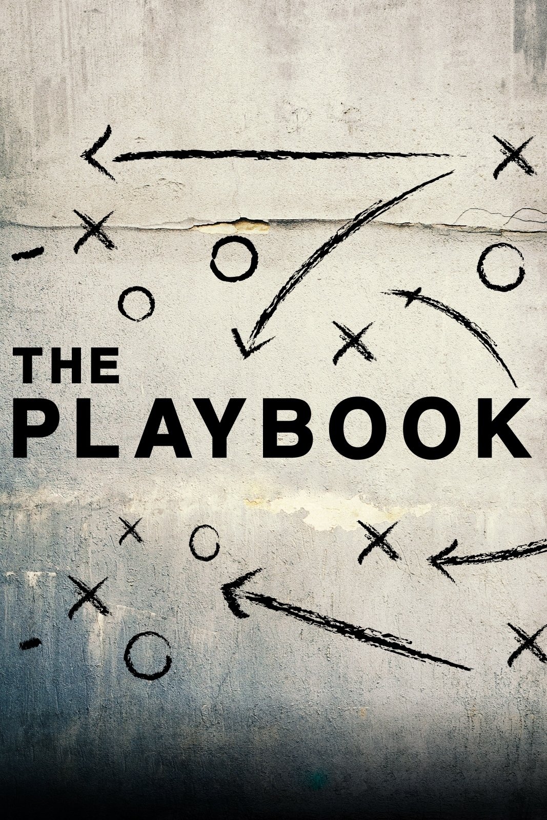 The Playbook poster