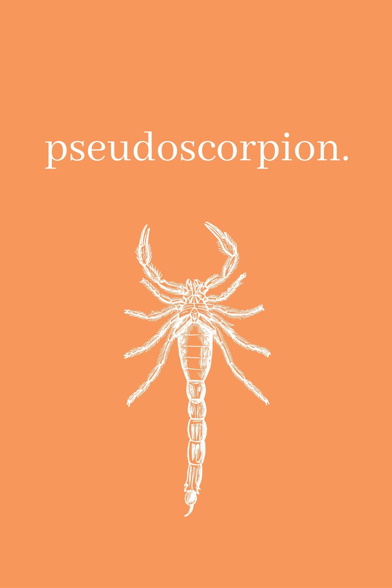 Pseudoscorpion poster
