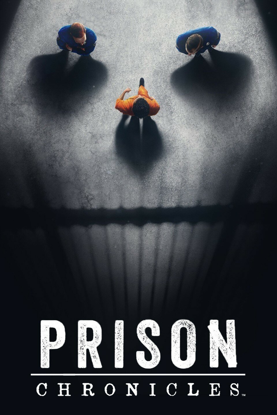 Prison Chronicles poster