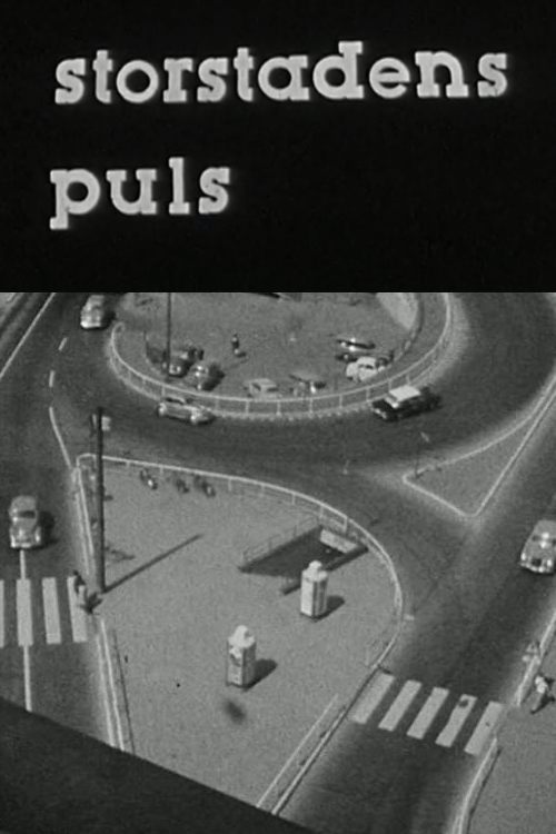 The Pulse of the Big City poster