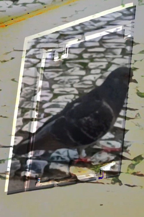 não tenho dormido muito mas continuo sonhando a cada piscada poster