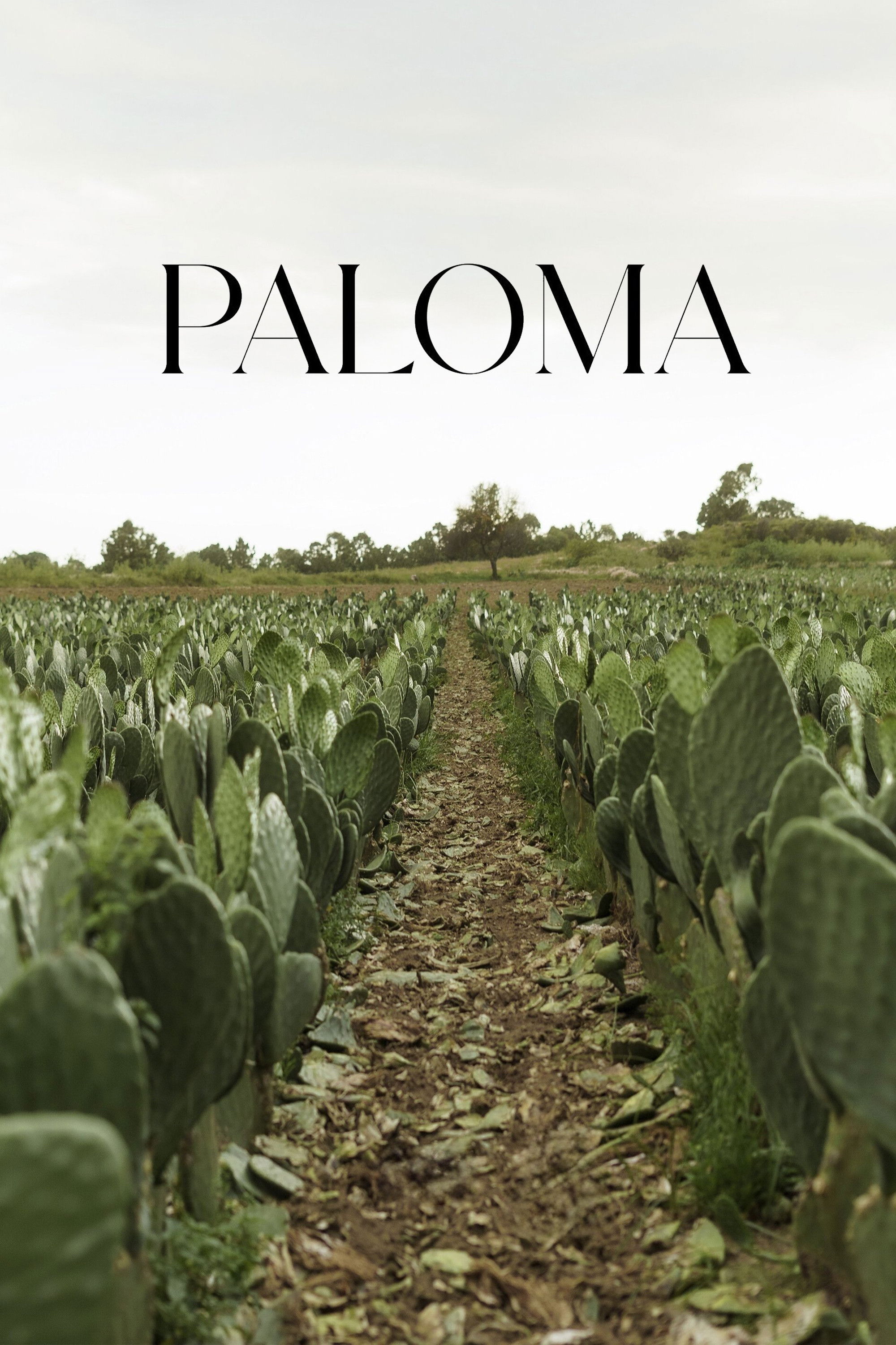 Paloma poster