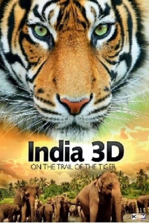 India On The Trail Of The Tiger 3D poster