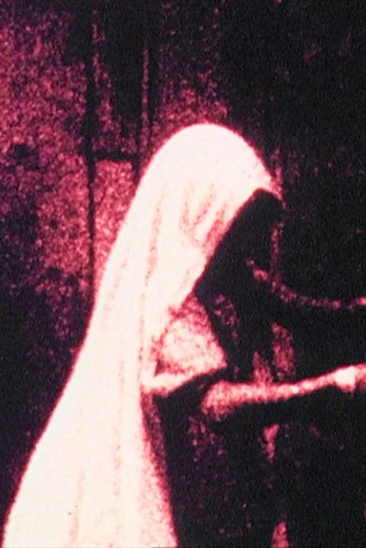 African Diary poster