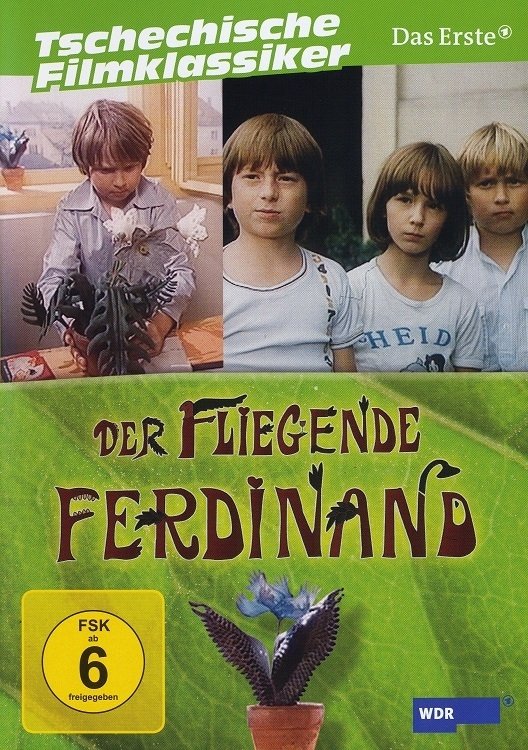 The Flying Cestmir poster