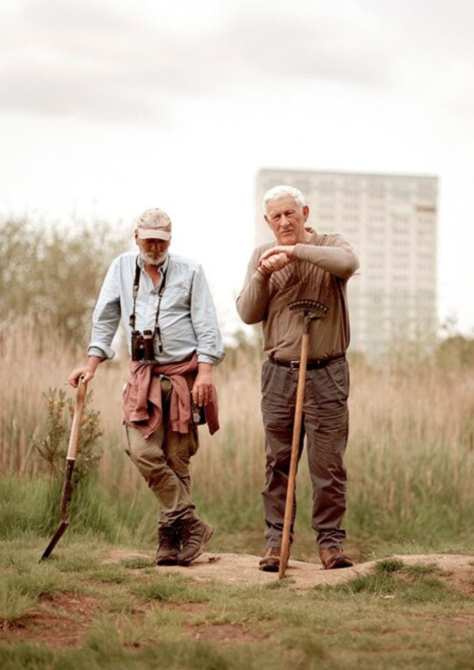 Common Ground: Cat and Dog Pond poster