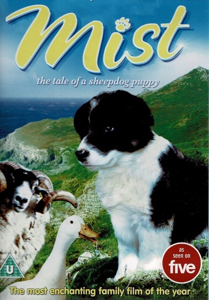 Border Collie Sheepdogs – Off Duty! poster