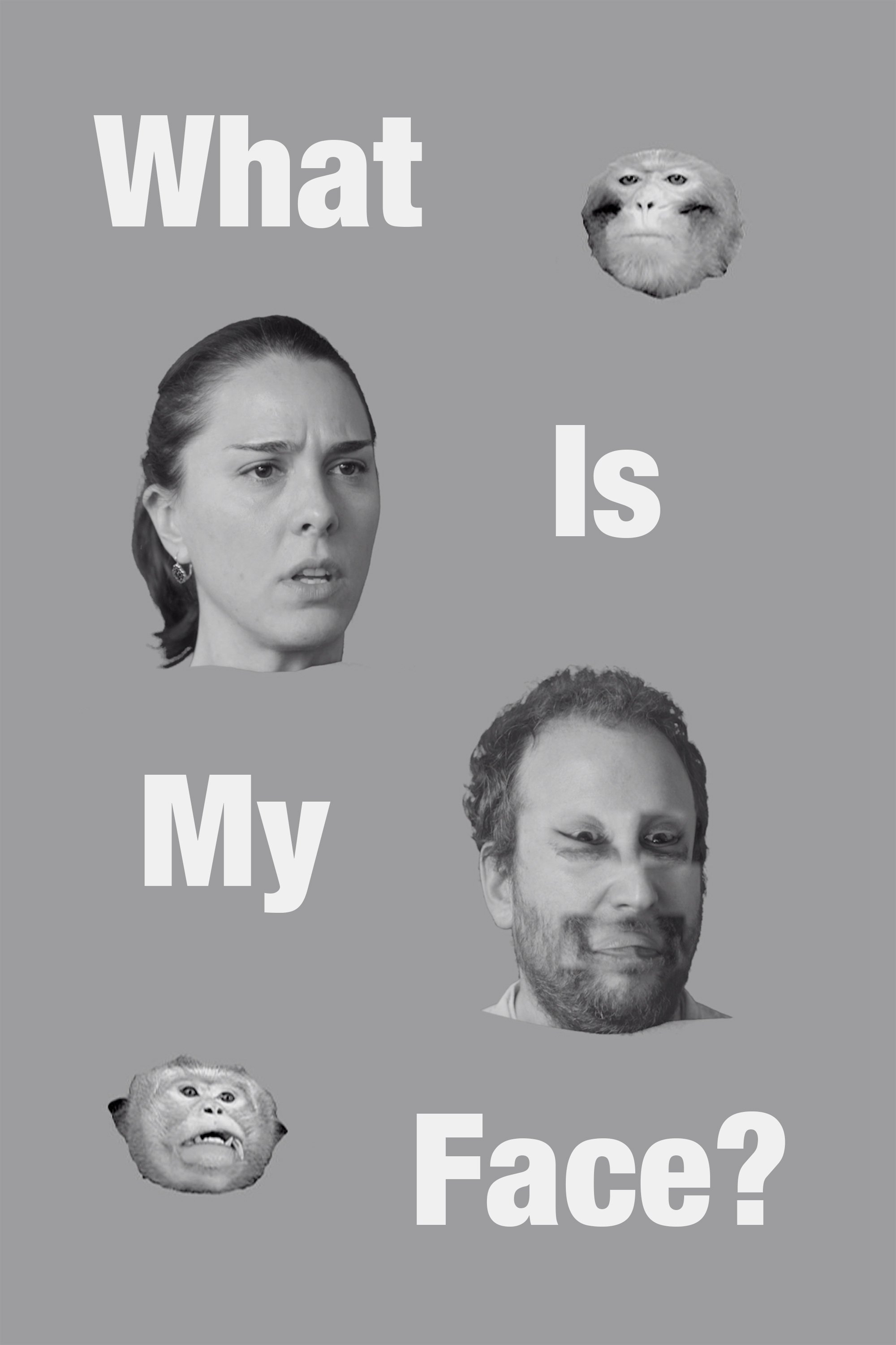 What Is My Face? poster