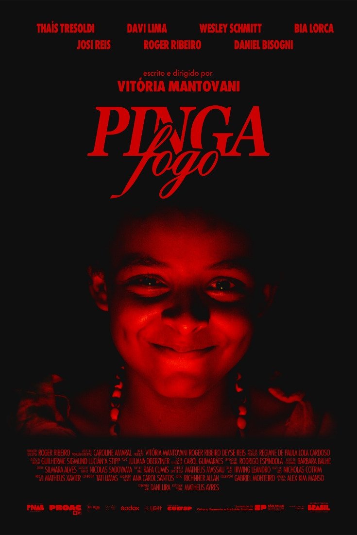 Pinga Fogo poster