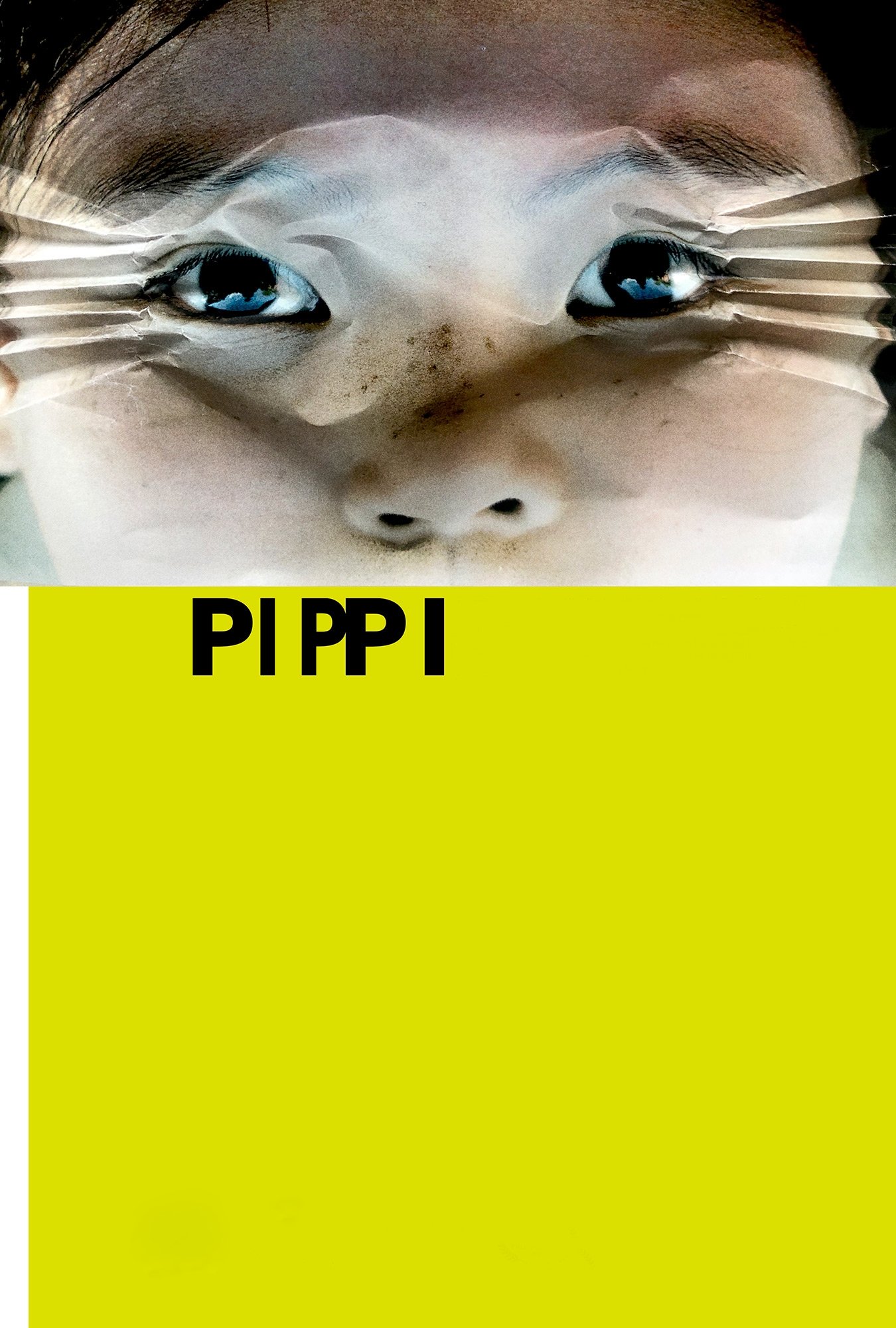 PIPPI poster