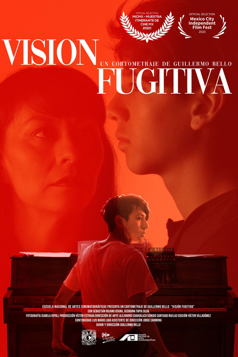 Fugitive Vision poster