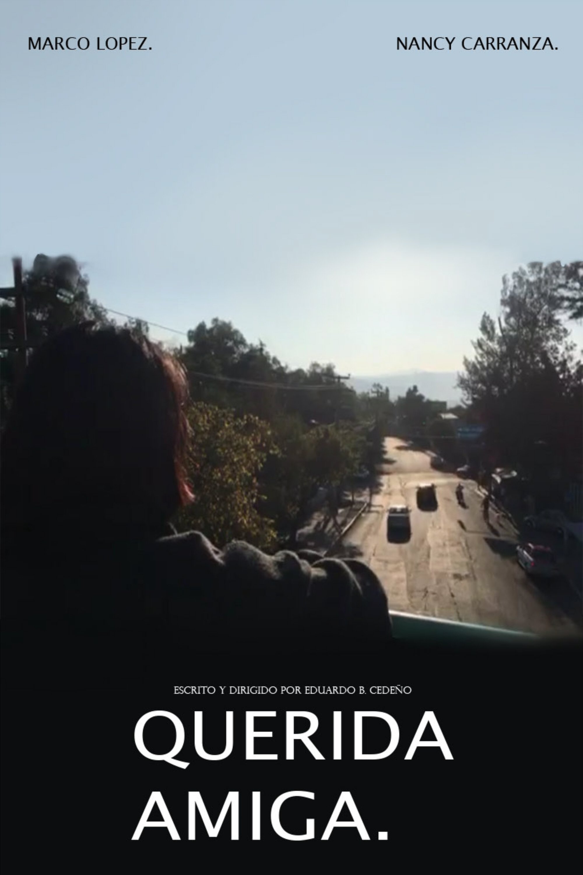 Querida Amiga. poster