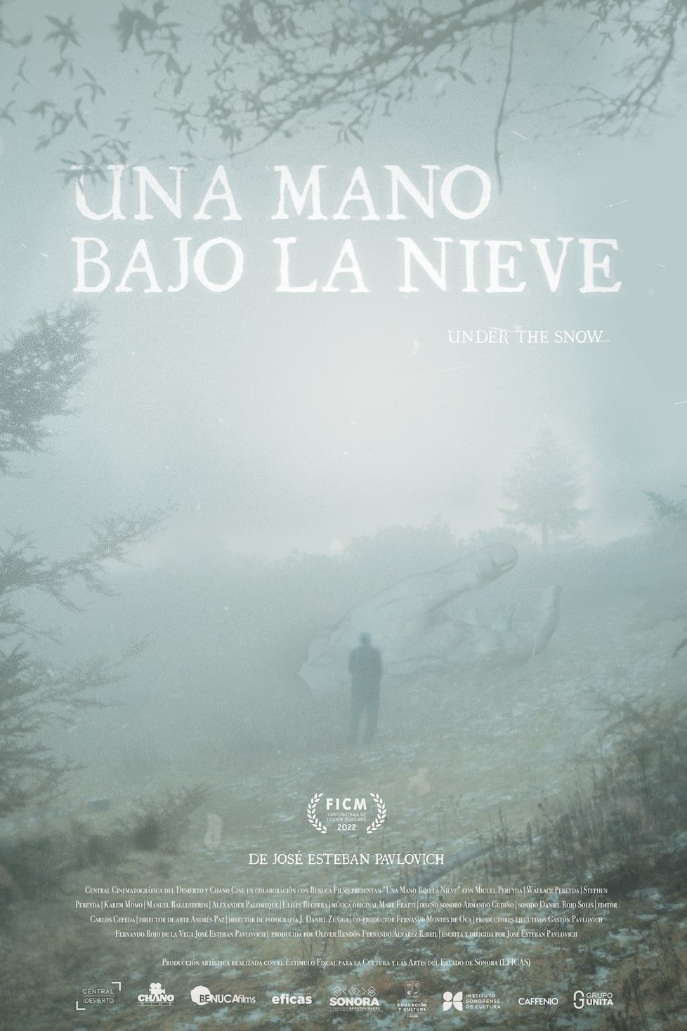 A Hand Beneath the Snow poster