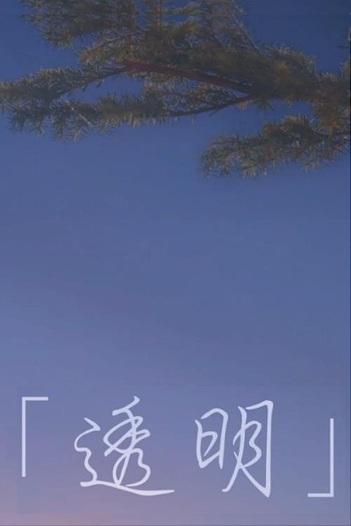 Invisible poster