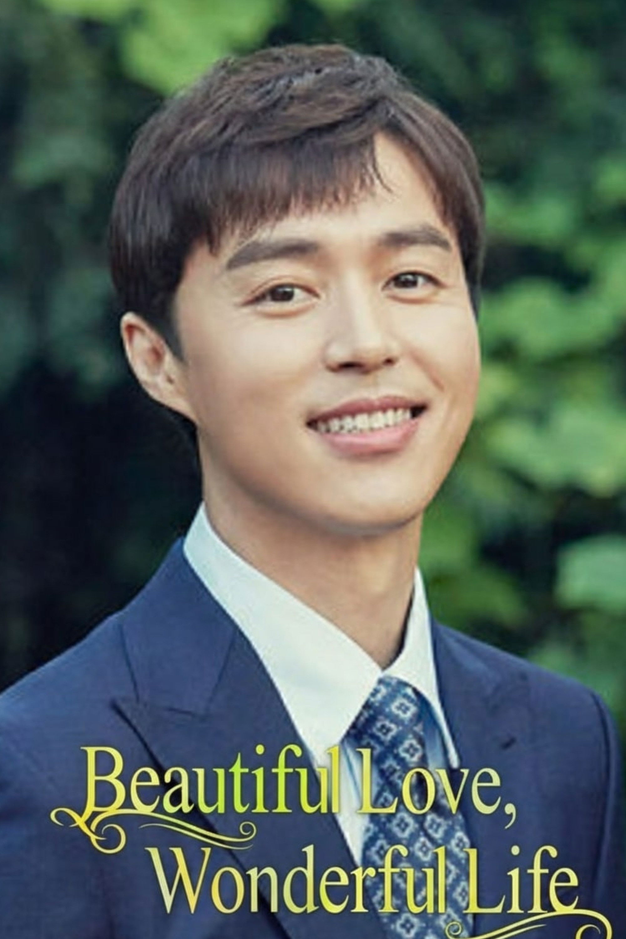 Beautiful Love, Wonderful Life poster