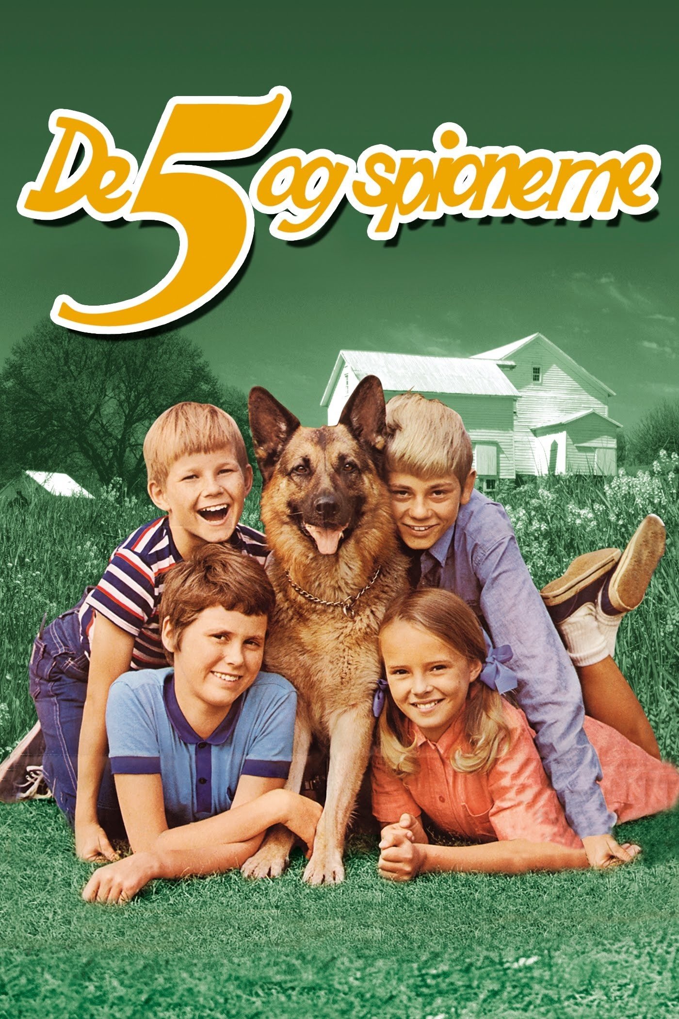 Five and the Spies poster