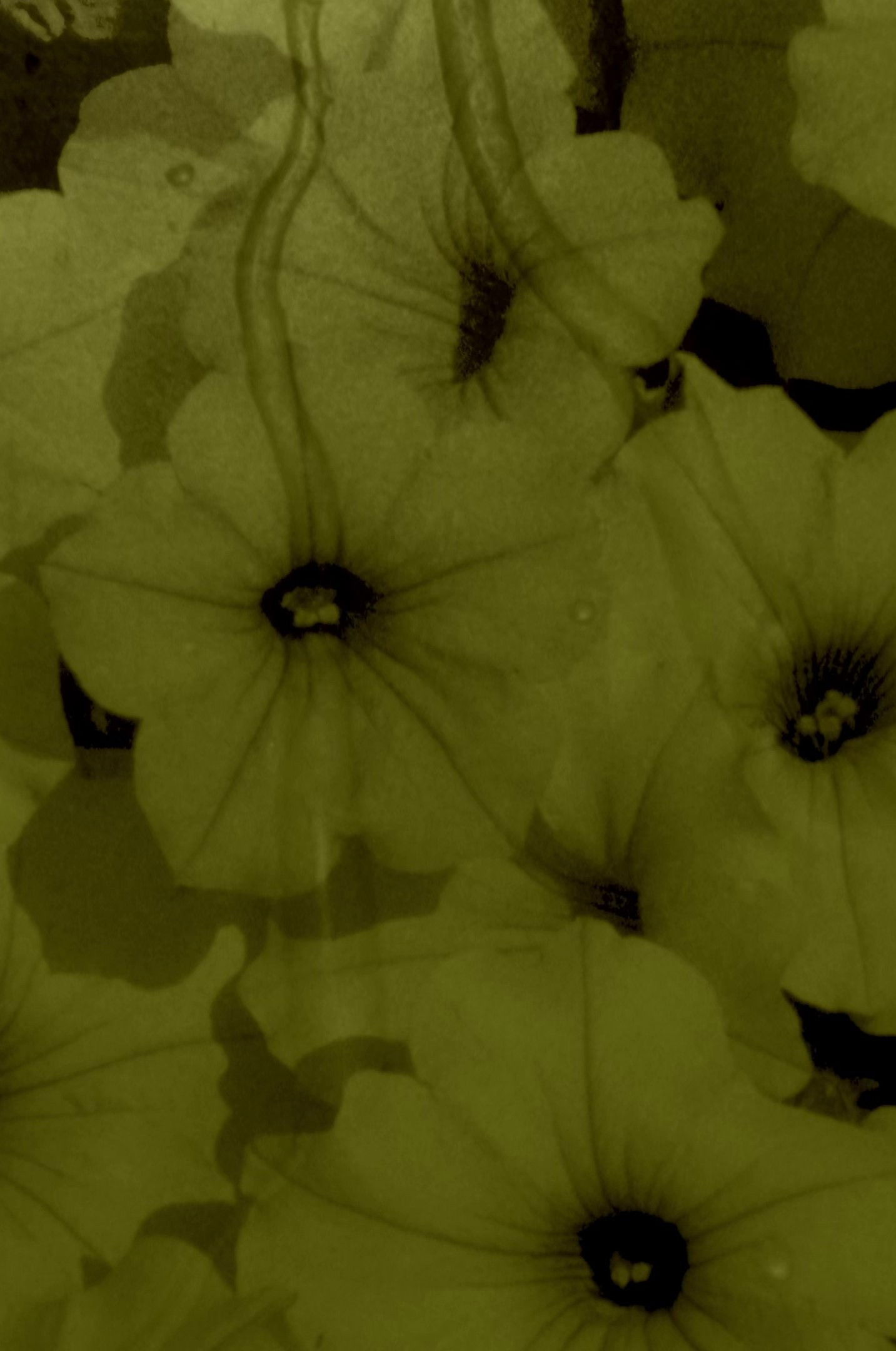 Liquid Dreams poster