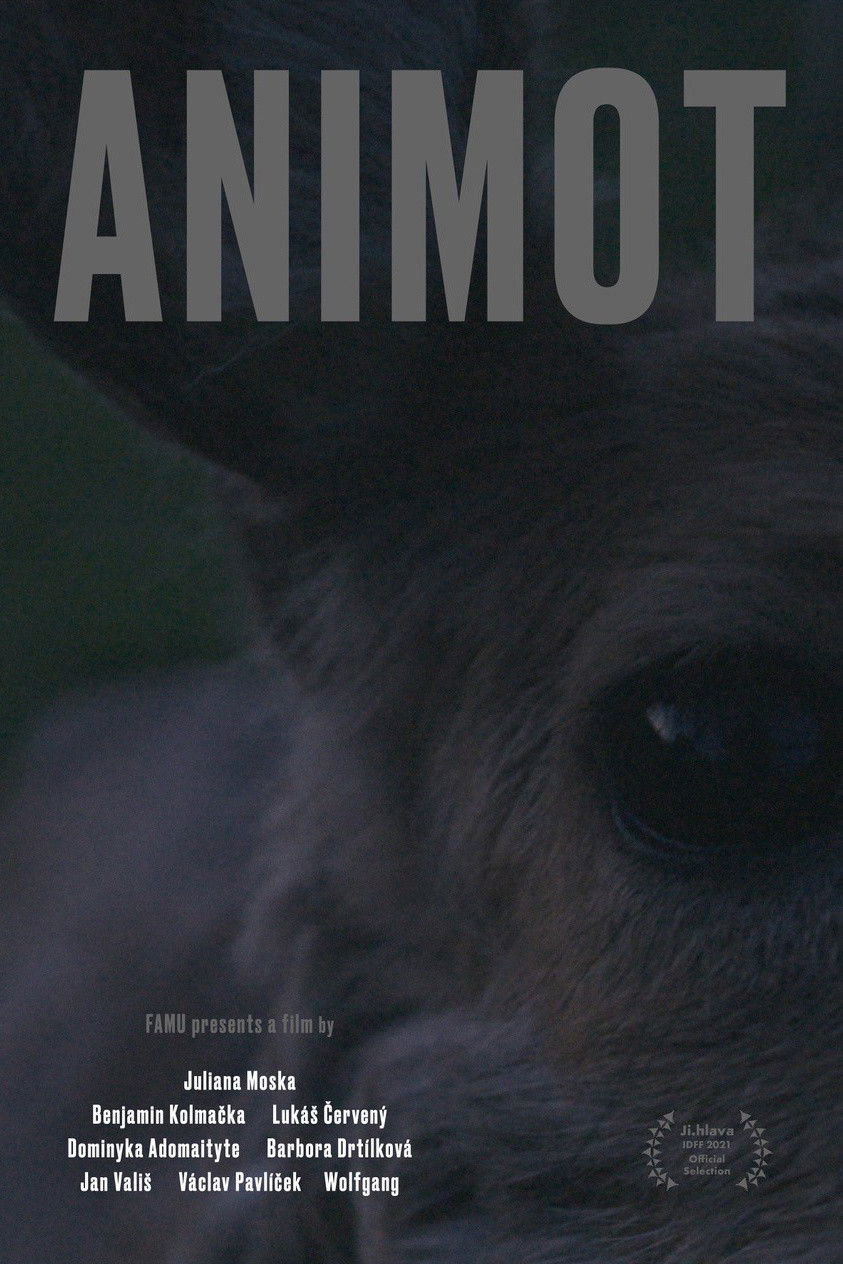 Animot poster